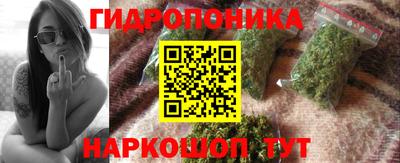 Альфа ПВП Обь