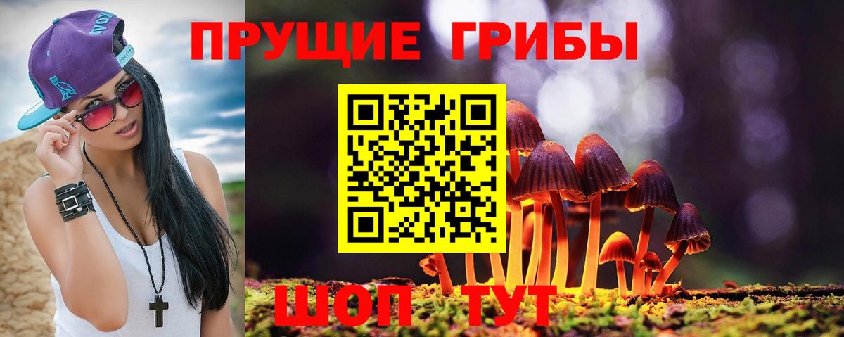 Псилоцибиновые грибы GOLDEN TEACHER Среднеуральск