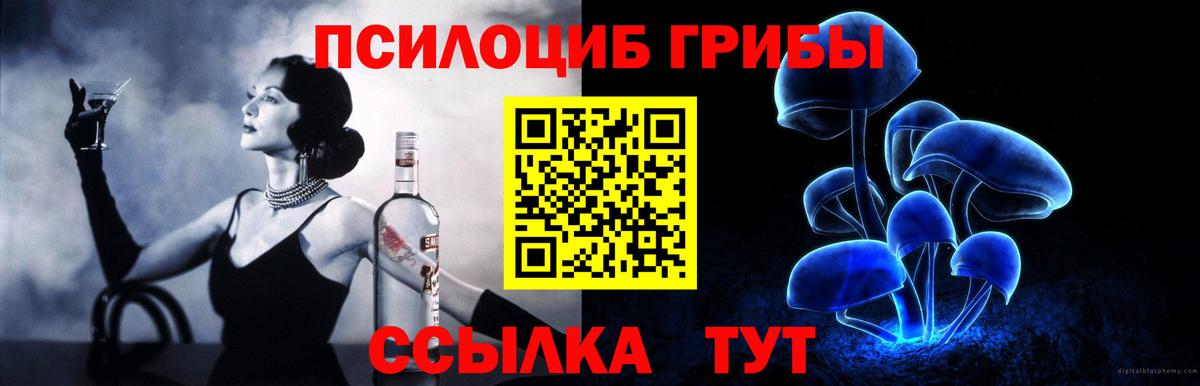 Псилоцибиновые грибы ЛСД  сколько стоит  Вход с VPN  Среднеуральск  Галлюциногенные грибы мицелий 